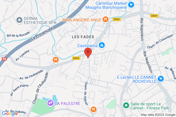 Groupe Protections Service Gps