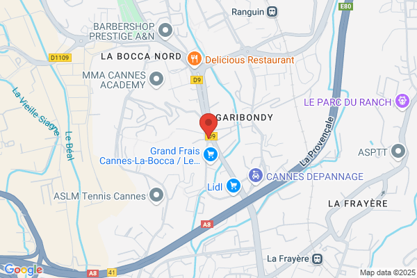 Camping Et Residence Le Grand Saule