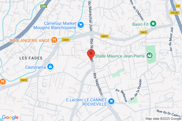 Auto Securitas Control Technic Auto Adherent