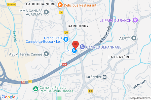 Clinique Du Menager
