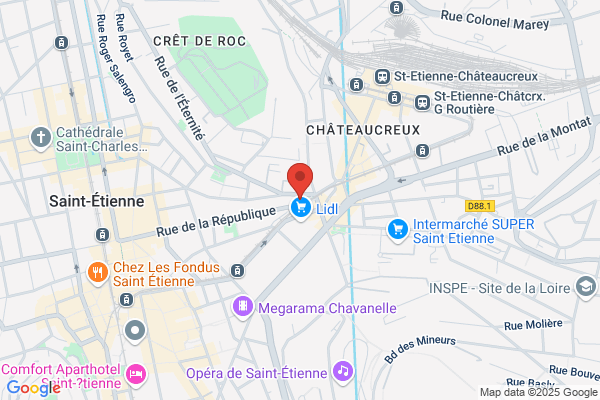Banque Populaire Loire Et Lyonnais Agence Fourneyron