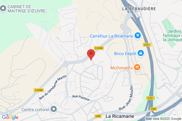 Berthollet Camille