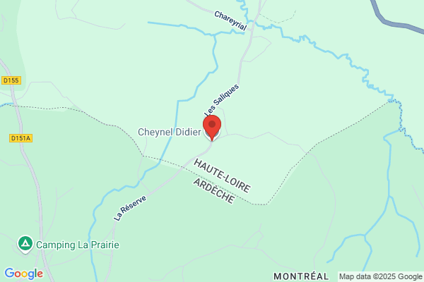 Cheynel Didier