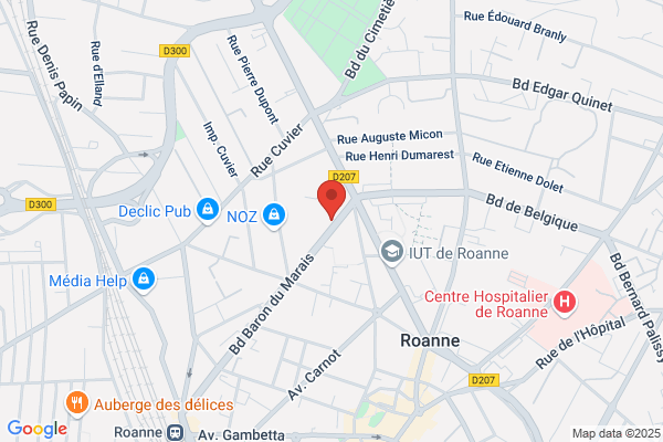 Enterprise Location de voiture et utilitaire - Roanne