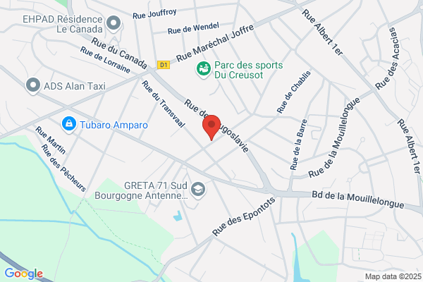 Desmaizieres Sa