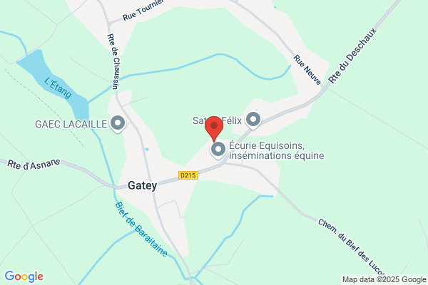 SAS LAGALICE ROMAIN