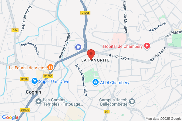 MULTI SERVICES - FONTAGNE BRUNO