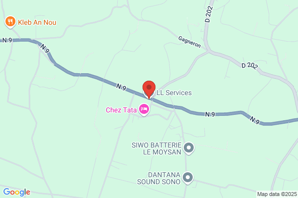 Locan Pro Services