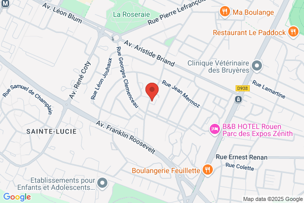 Institut Des Lys