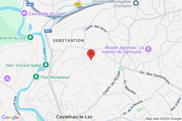 Cabinet De Castelnau Departement Droit Public