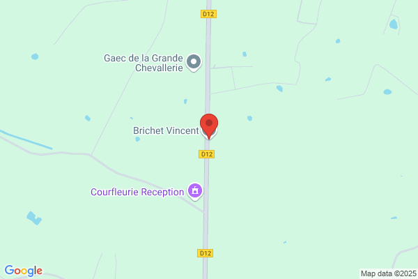 Brichet Marc