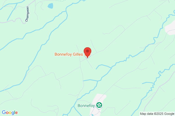 Bonnefoy Guy