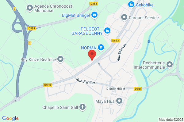 Baud Charles Medecin