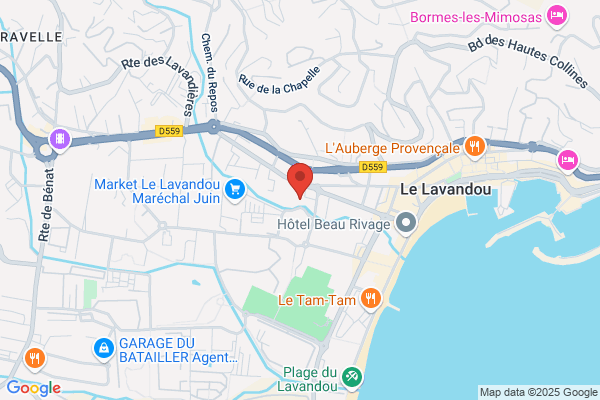Assurances Agf Daniel Javelle Agt General