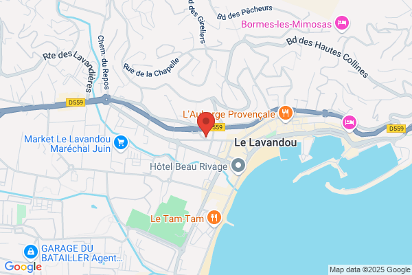 Hotel Bar Le Terminus
