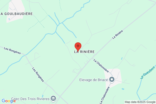 MLT CONSEIL ASSURANCE