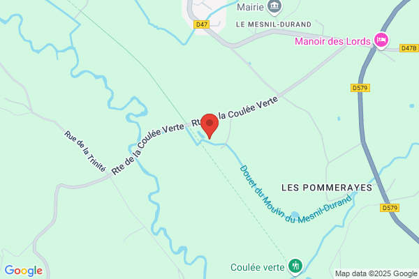 Apei Les Courlis