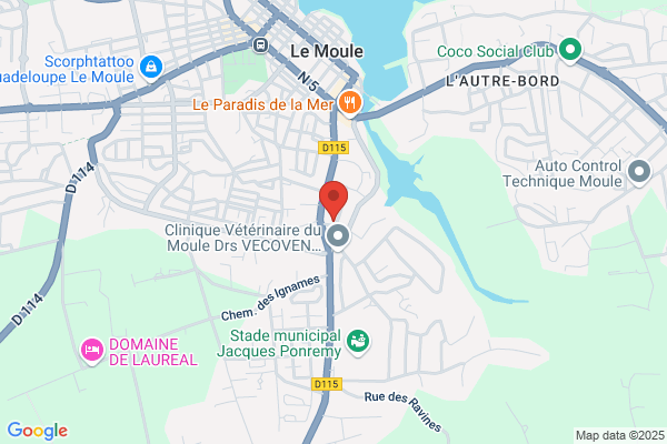 Martine boutique boutique de lingerie le moule