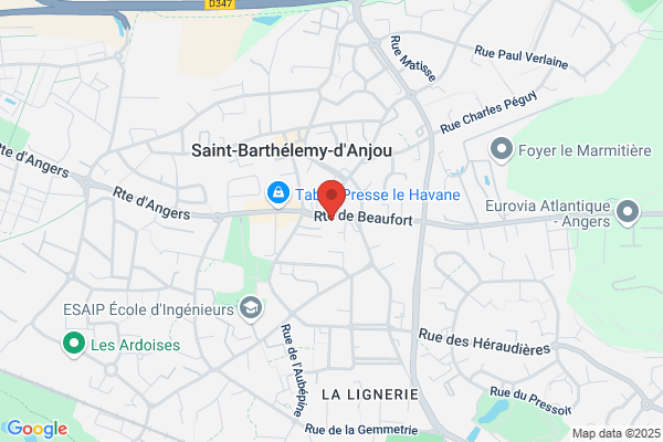 Bartholome Scm