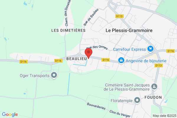 Alain Automatisme Angevin