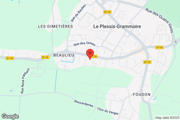 Delepine Denis