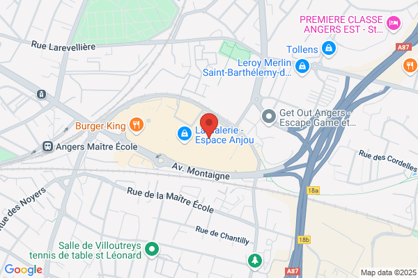 BOUYGUES TELECOM