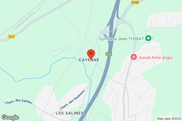 Cnrs Centre National De La Recherche Scientifique programme
