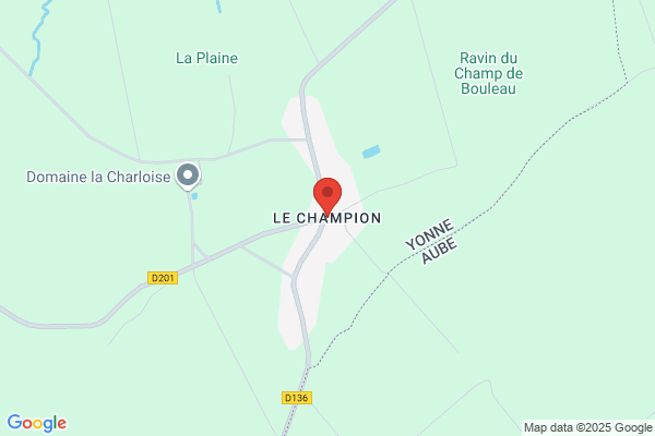 Champion