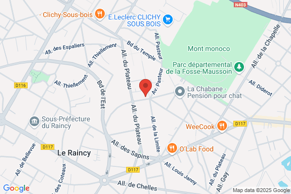 Paris Incendie