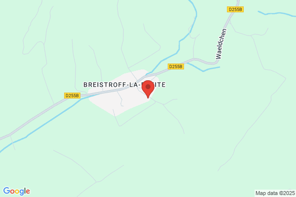 Magnétiseur Energéticien Coupeur de feu