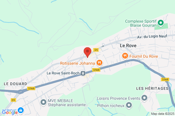 Conseil General Des Bouches Du Rhone Diss centres medico sociau