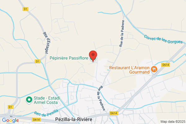Pépinière Passiflore