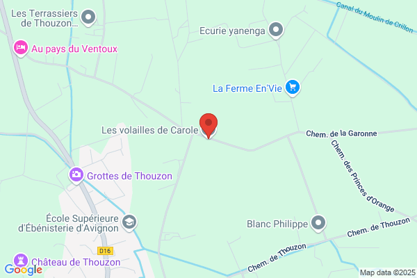 Coray Carole