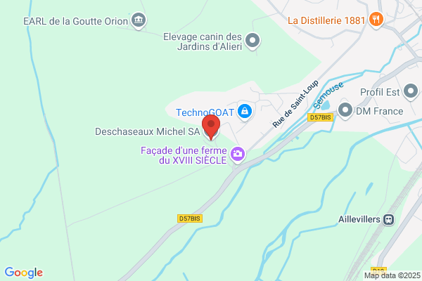 Deschaseaux Michel Sciage De Bois
