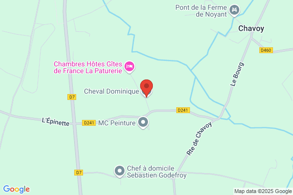 Cheval Dominique