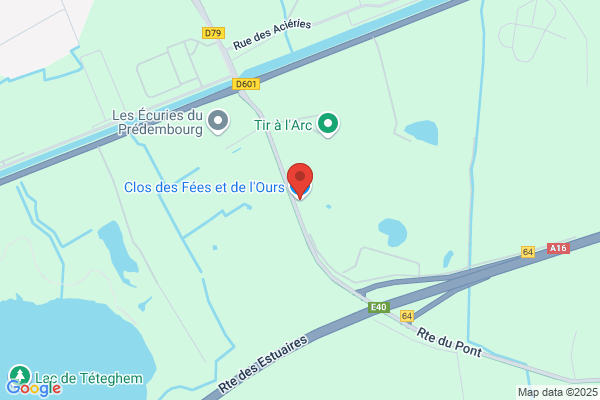 Au Faisan Dore