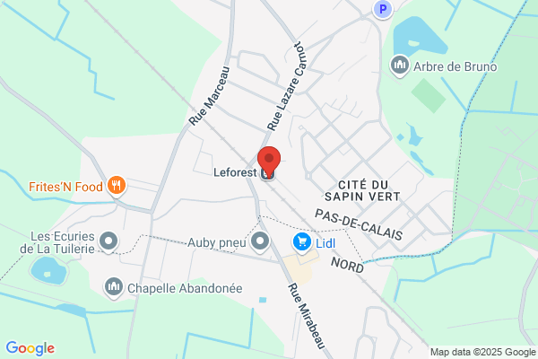 Blue Fox Logistique