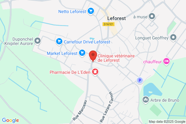 Clinique Veterinaire Des Docteurs Samain Et Heureux Scp