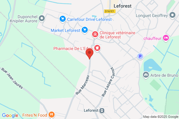 Dhainaut Gerard