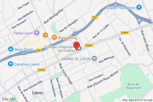 Credit Du Nord