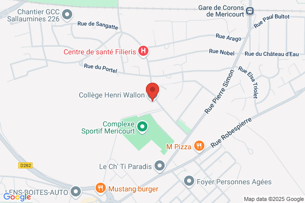 College Nationalise Henri Wallon