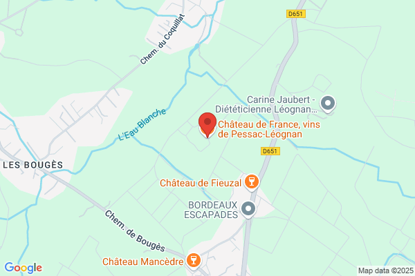 Chateau De France
