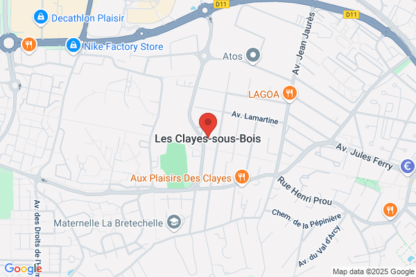 Chiens joyeux & libres Josselyne Lominé