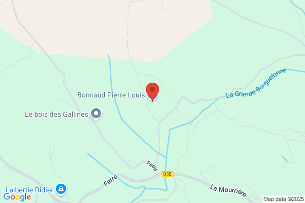 Bonnaud Pierre