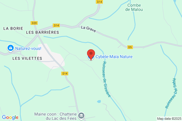 Cybele Maia Graphique