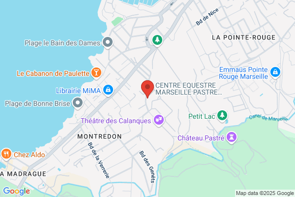 Afm Association Francaise Contre Les Myopathies