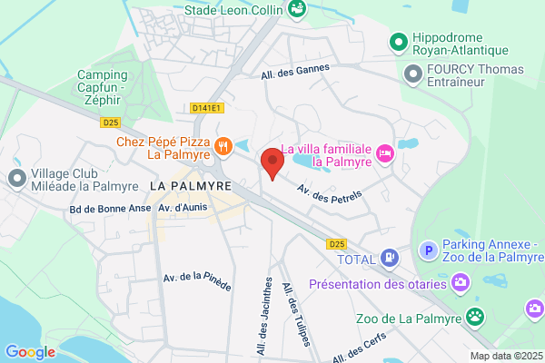 Hotel Palmyrotel