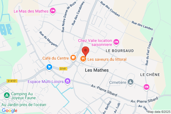 Zeltron 17