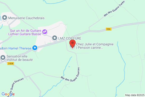 Coaching Dog - Comportementaliste éducateur canin