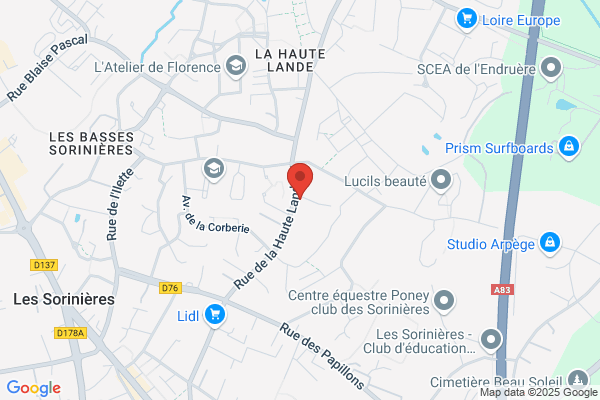 Areas Regis De Thieulloy Agent